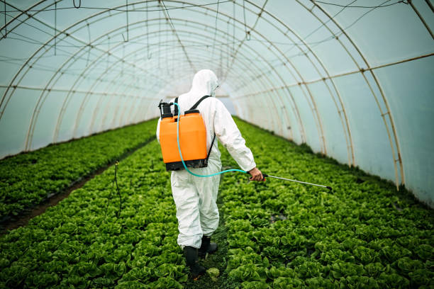 Pest Control Cost in Fountainhead Orchard Hills, MD