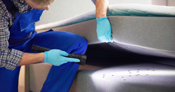 Best Pest Removal Services  in Fountainhead Orchard Hills, MD